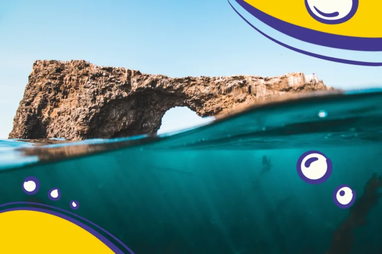 Діти досліджують море та отримують натхнення від природи